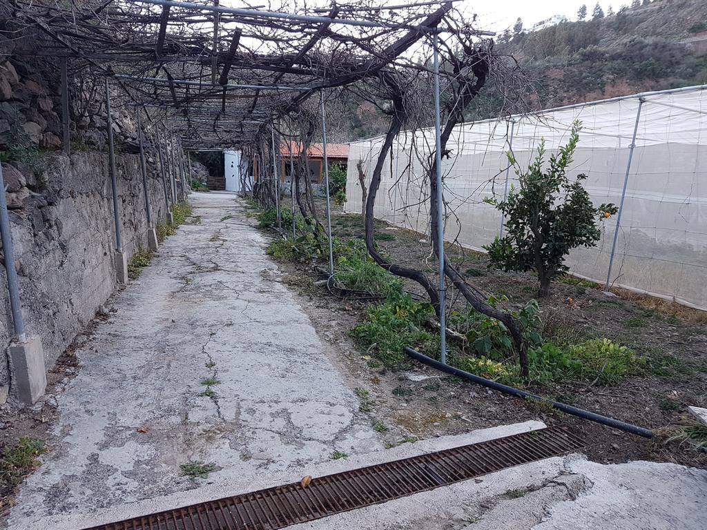 Casa Rural La Hoyita De Tunte San Bartolomé Luaran gambar