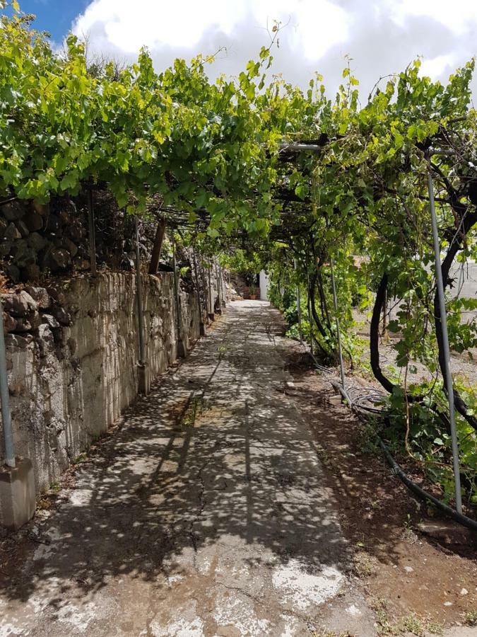 Casa Rural La Hoyita De Tunte San Bartolomé Luaran gambar