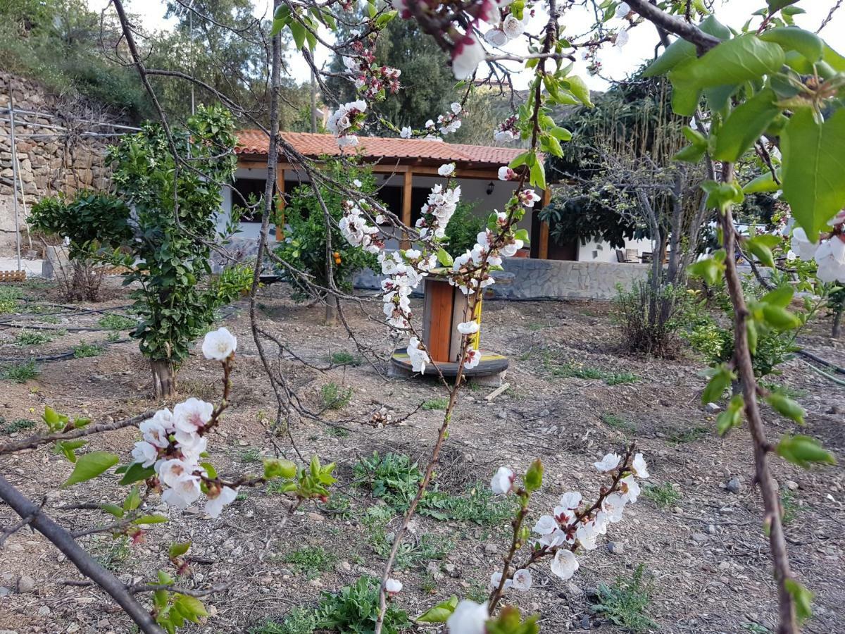 Casa Rural La Hoyita De Tunte San Bartolomé Luaran gambar