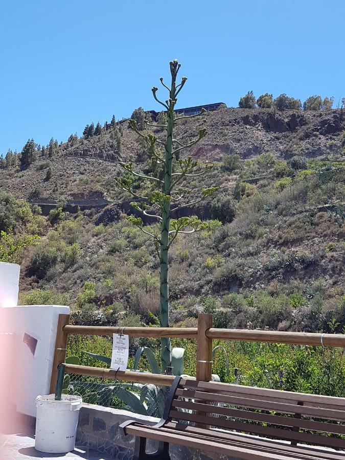 Casa Rural La Hoyita De Tunte San Bartolomé Luaran gambar