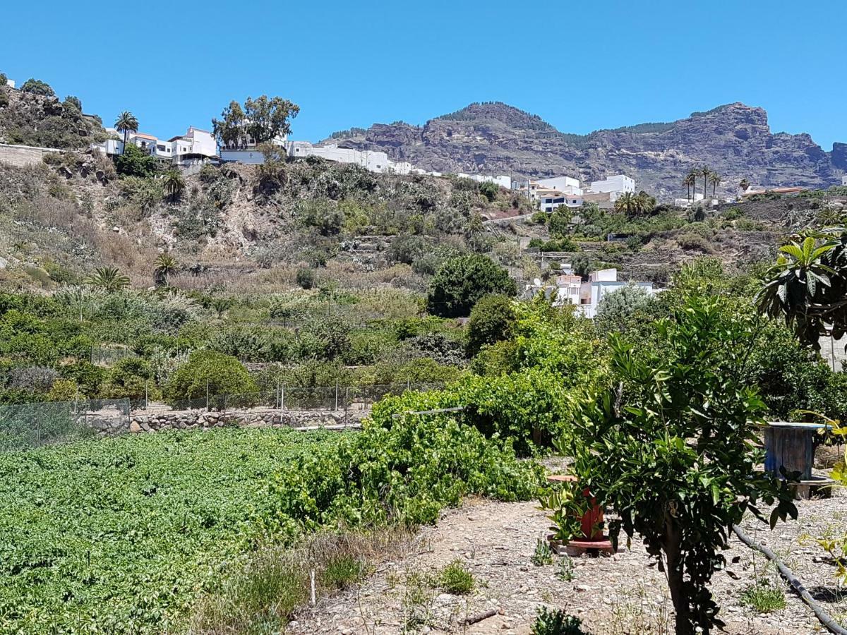 Casa Rural La Hoyita De Tunte San Bartolomé Luaran gambar