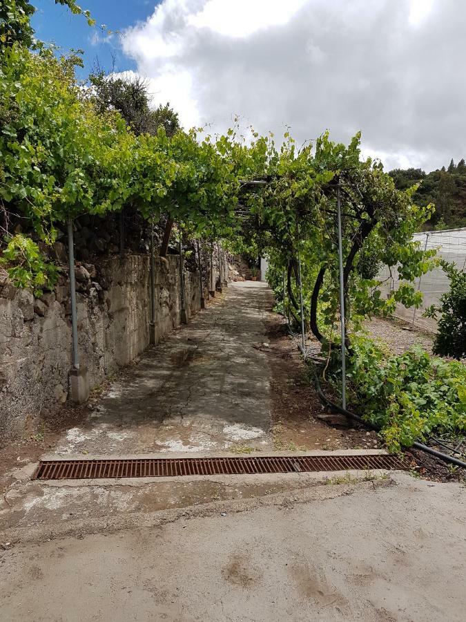 Casa Rural La Hoyita De Tunte San Bartolomé Luaran gambar