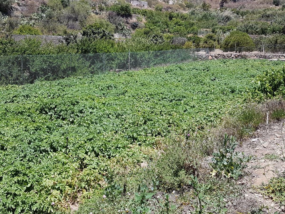 Casa Rural La Hoyita De Tunte San Bartolomé Luaran gambar